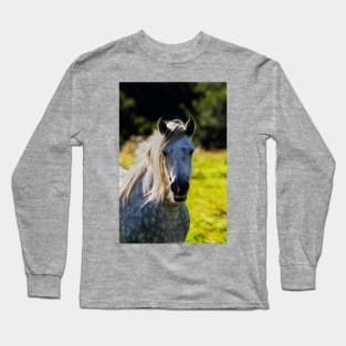 Dapple Grey in morning light Long Sleeve T-Shirt